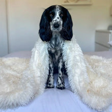 Last inn bildet i Galleri-visningsprogrammet, MrFluffyFriend - Stressreduserende fluffy kjæledyrspledd