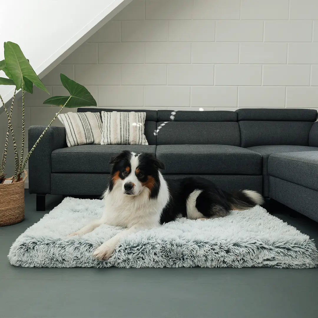 Ortopedisk Fluffy Hundeseng – Beroligende, Ekstra Myk og Leddvennlig