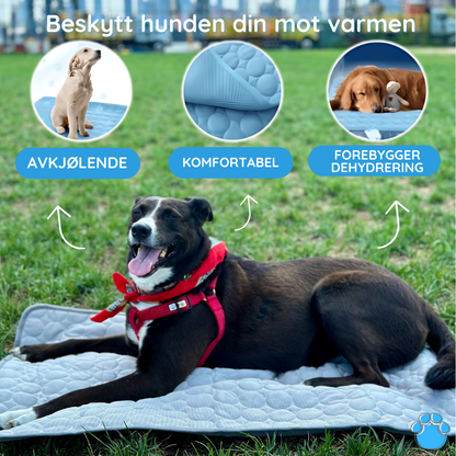 Den beste kjølematten for hunder - MrFluffyFriend
