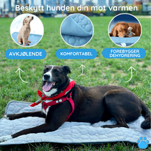 Last inn bildet i Galleri-visningsprogrammet, Den beste kjølematten for hunder - MrFluffyFriend™
