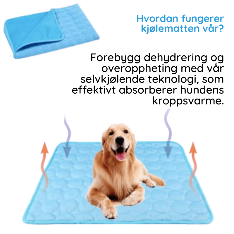 Den beste kjølematten for hunder - MrFluffyFriend™