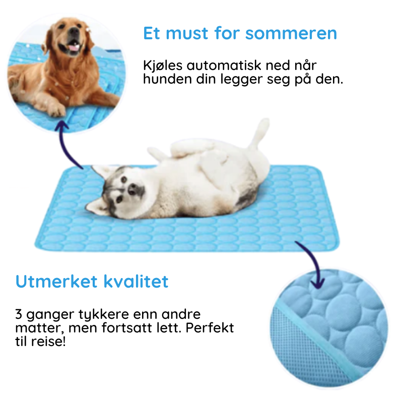 Den beste kjølematten for hunder - MrFluffyFriend