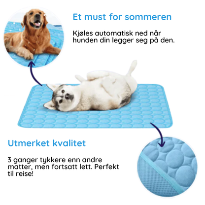 Den beste kjølematten for hunder - MrFluffyFriend