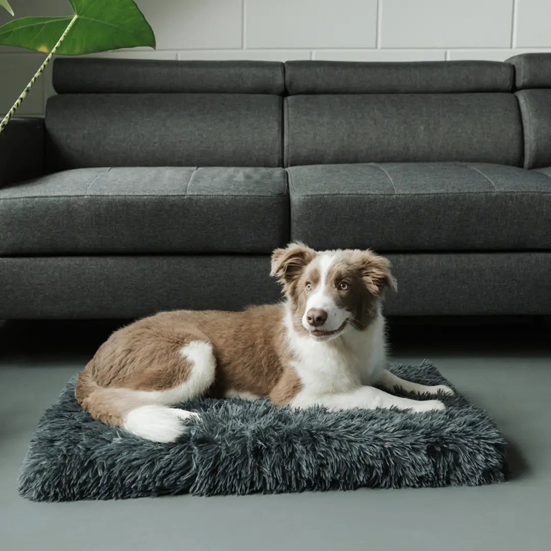 Ortopedisk Fluffy Hundeseng – Beroligende, Ekstra Myk og Leddvennlig