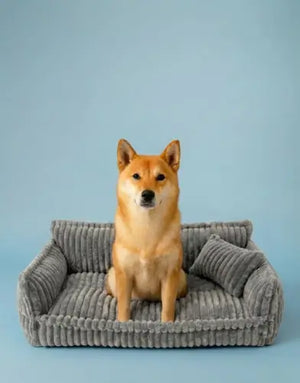 Photo of Ortopedisk hundesofa