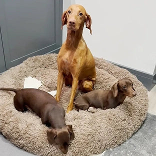 Scr 20250606 hrkf mff 4458e7ab 9cea 41db 81f7 47056dc9c585 3