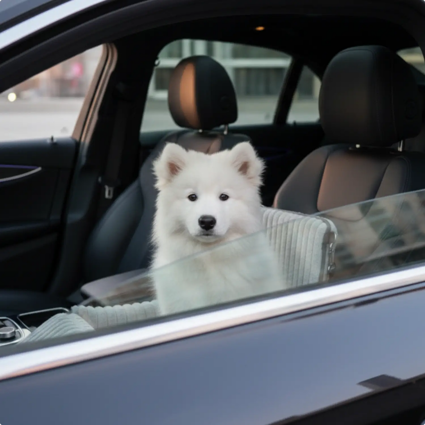 MrFluffyFriend - Trygt bilsete for hund