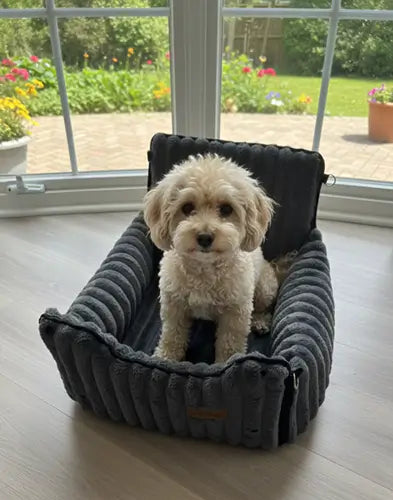 Nora - 31 - Kristiansand