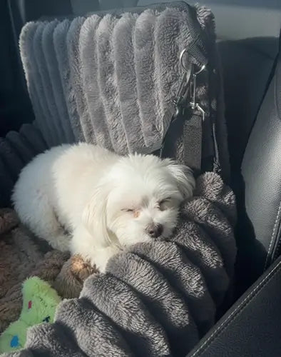 Sigrid - 51 - Stavanger