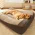 MrFluffyFriend - Slitesterk vaskbar hundepute