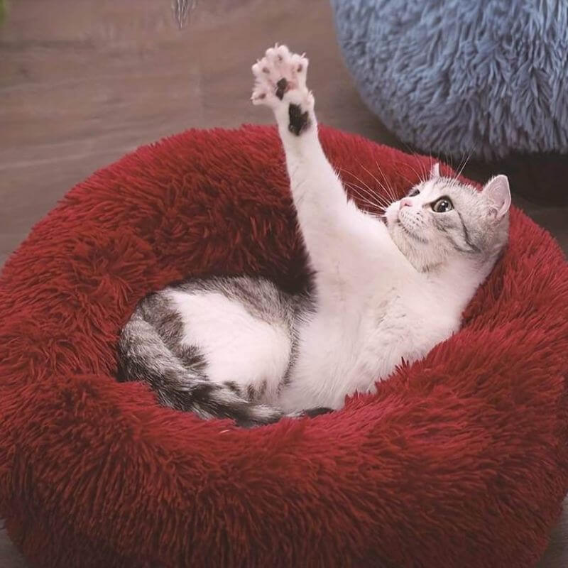 MrFluffyFriend™ - Verdens beste stresslindrende katteseng